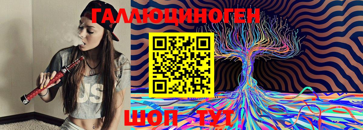Псилоцибиновые грибы Psilocybe Обнинск